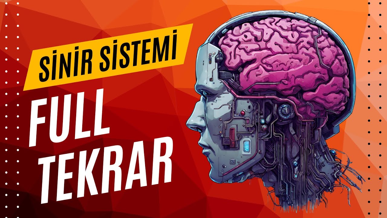 SİNİR SİSTEMİ FULL TEKRAR AYT 2025