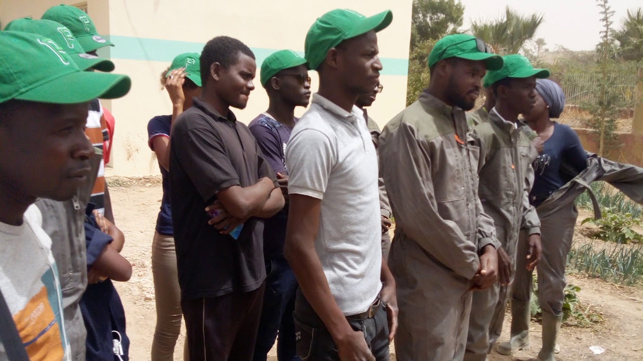 IMMERSION AU LYCEE TECHNIQUE PROFESSIONNEL FXN DE THIES