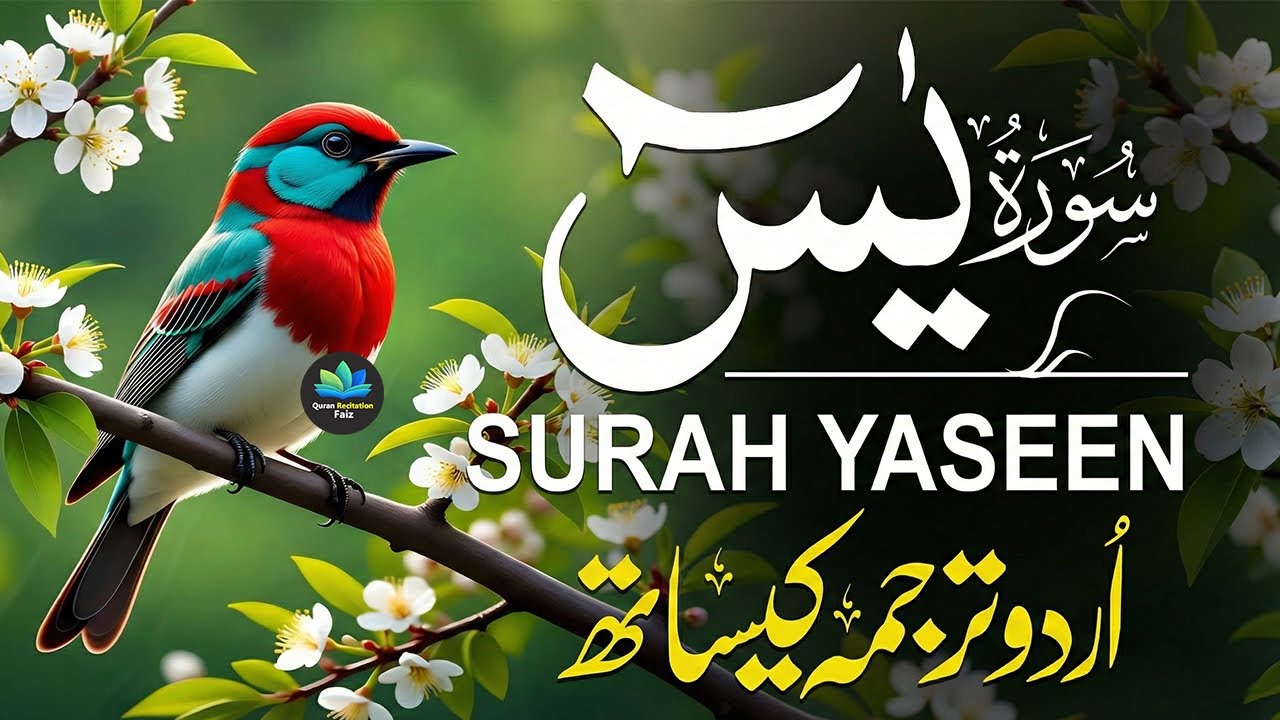 Surah Yaseen سورة يس | Heart-Touching & Peaceful Recitation | Surah Yasin Full HD | #surahyaseen