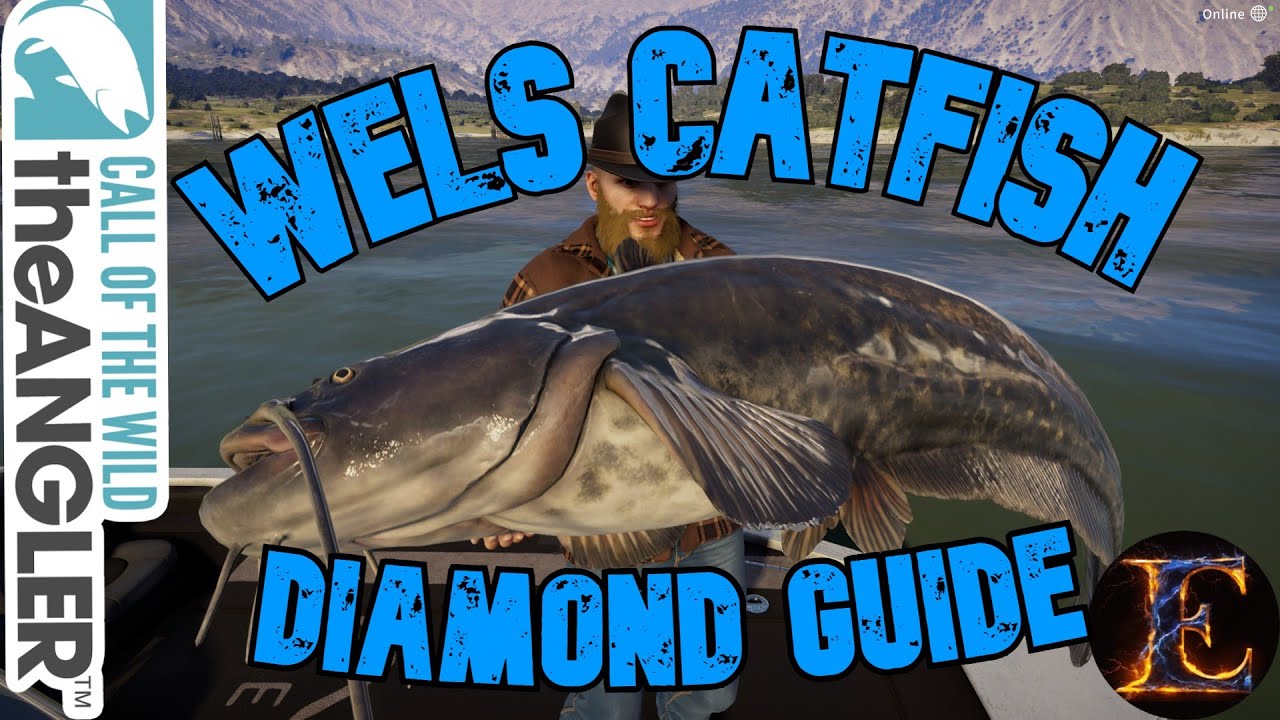 How to catch a DIAMOND WELS CATFISH | The Angler