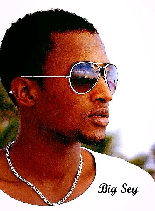 InterFace Gambia Guset Artist 