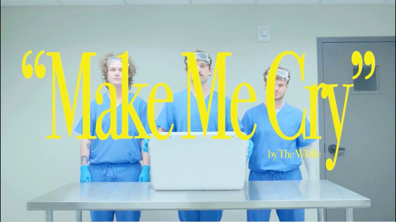 The Wldlfe - Make Me Cry (Visualizer)