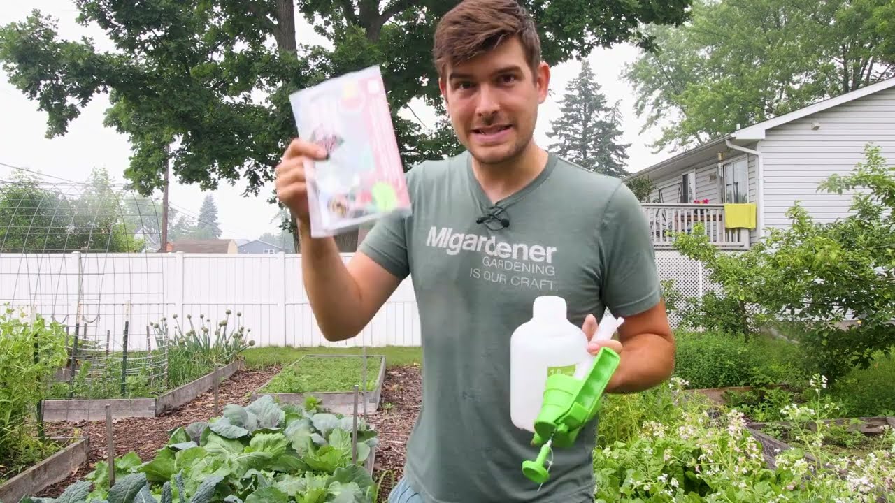 There Are TRILLIONS Of These Microscopic Superheroes In Your Garden!