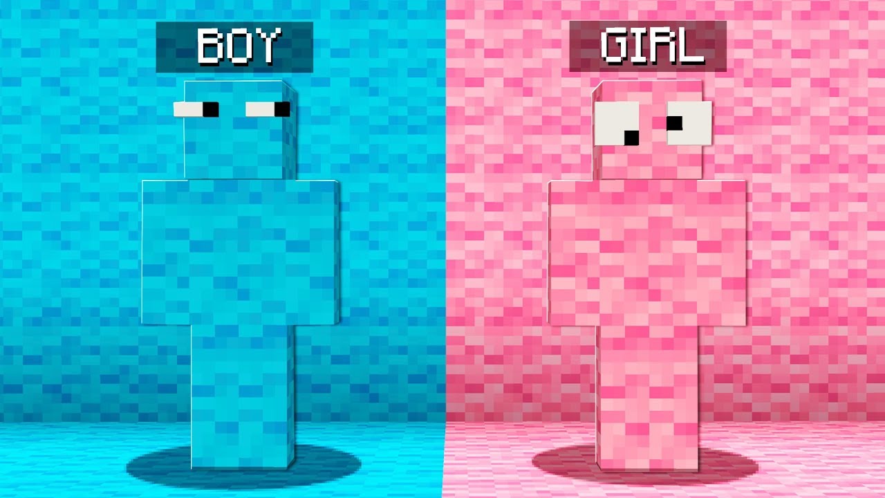 Boy vs Girl Minecraft Hide and Seek Challenge!