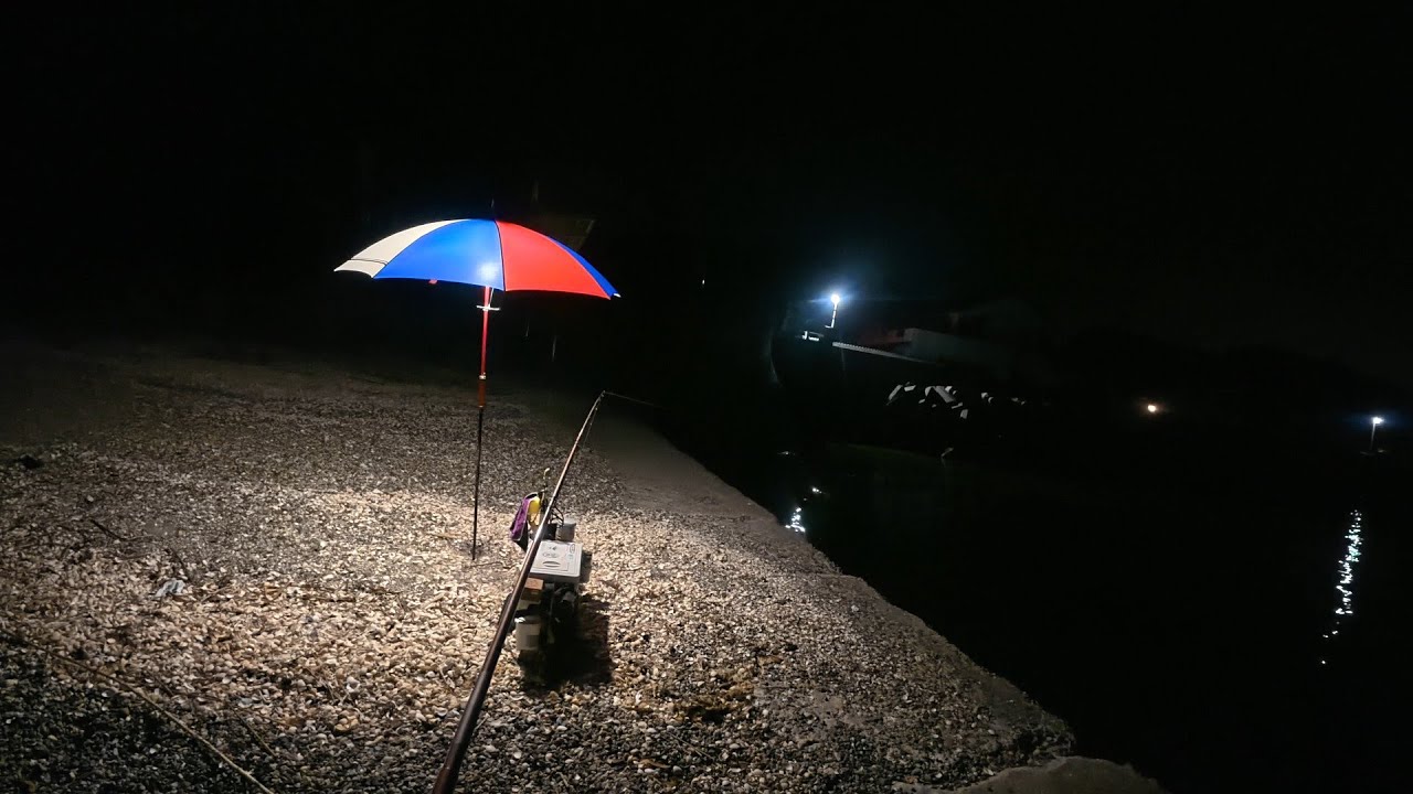 クソ暑い真夏のキス釣りは快適な夜釣りという選択肢もあるよ！