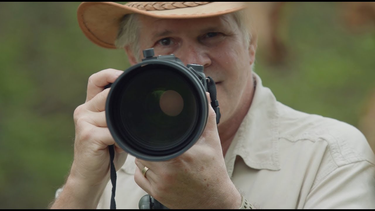 Andrew Bone: Capturing Africa's Wild Side