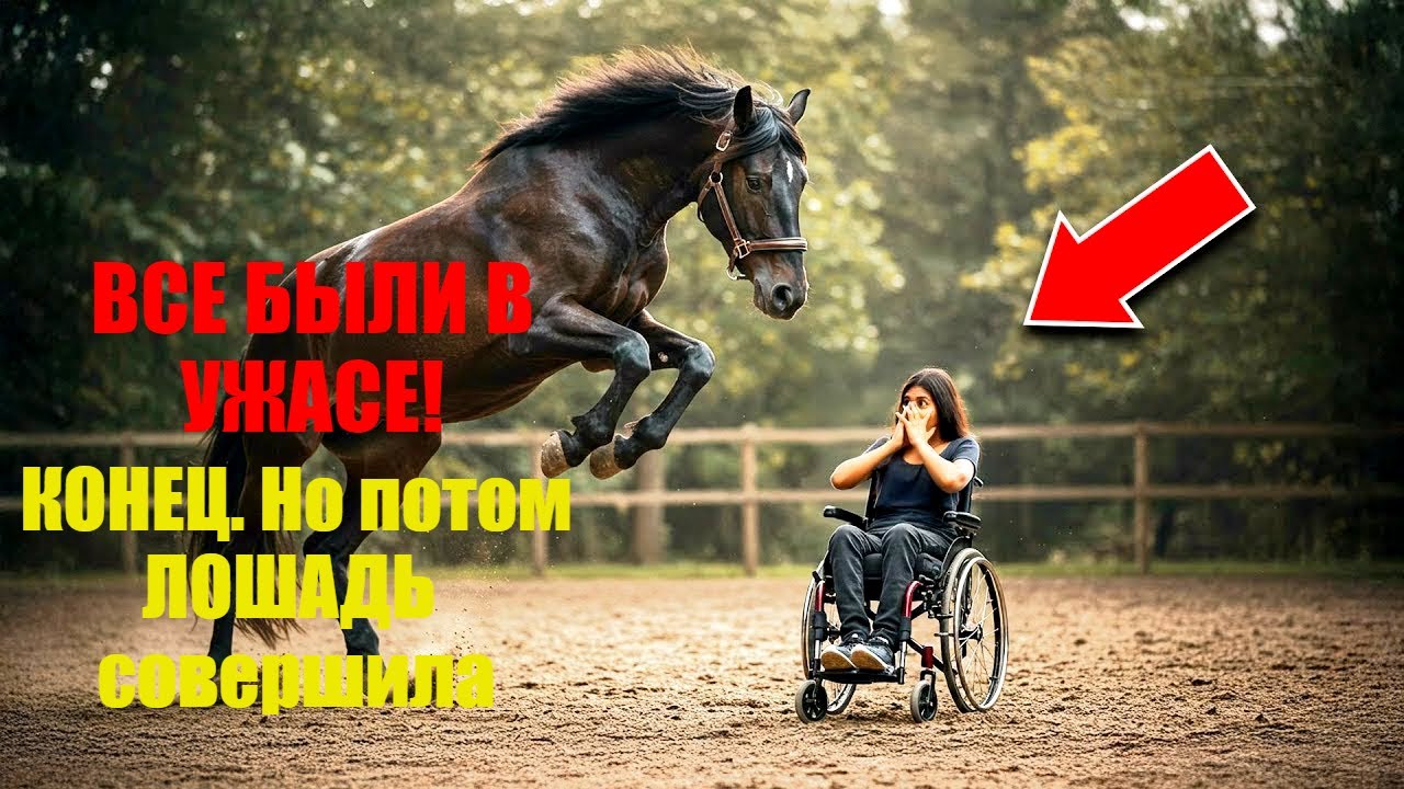 Все Говорили, Что Дикая Лошадь УБЬЕТ Девушку В Инвалидном Кресле, А Потом Случилось ЭТО!