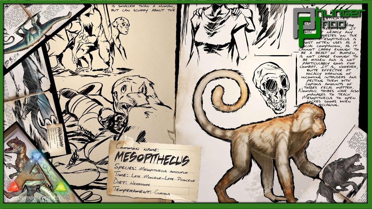 Ark basics Mesopithecus - ALL YOU NEED TO KNOW ABOUT MY FAVORITE