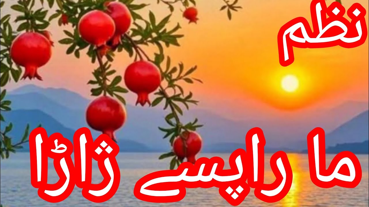 New Best Nazam, Ma Rapasy Zharra, Naya Behtareen pashto nazam 