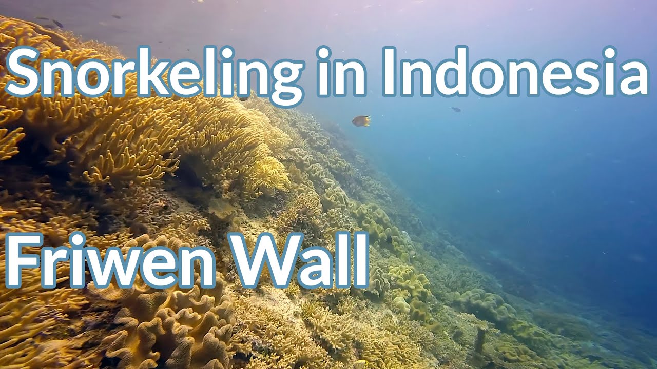 Friwen Wall - Snorkeling in Indonesia