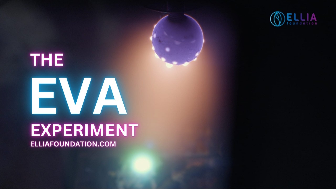 EVA Experiment: Electric Vacuum Anomalies in plasma (Ball Lightning & Clean Energy)