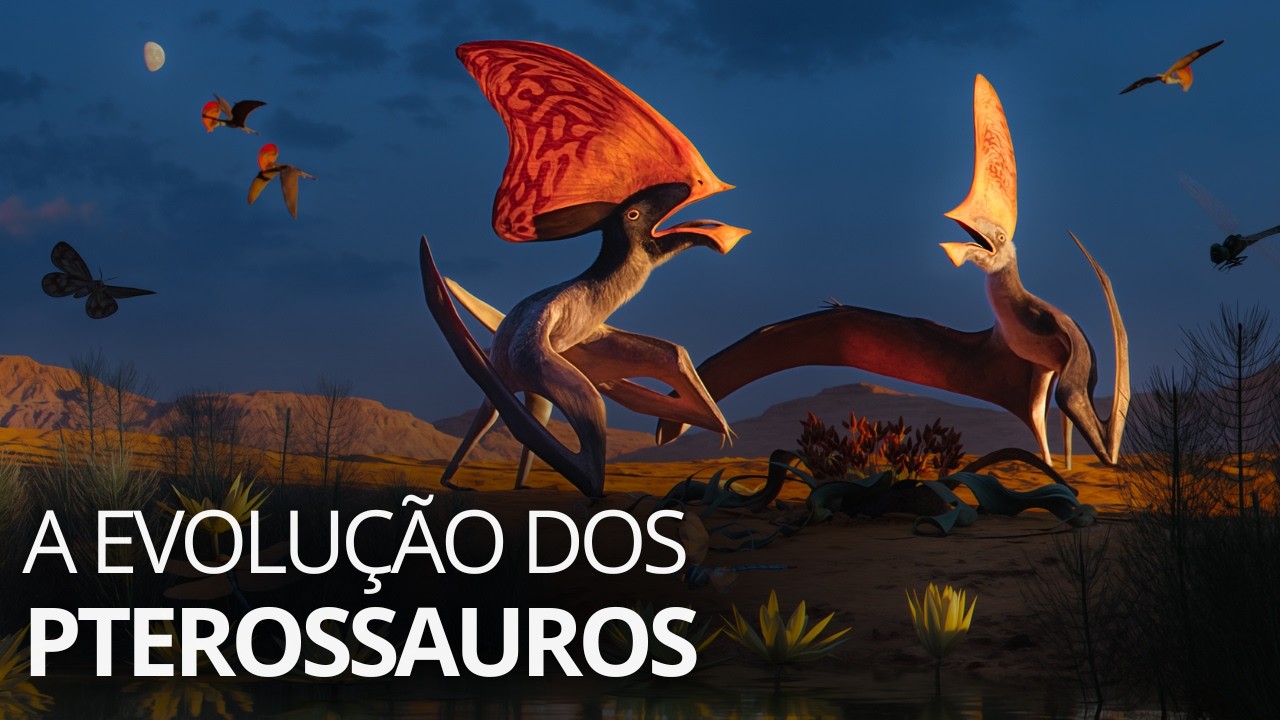 A evolução dos pterossauros: quando répteis voavam pelo Brasil
