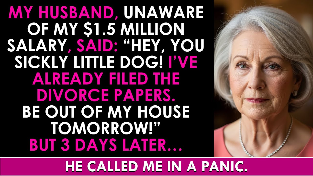 Thinking I Was Broke, My Husband Divorced Me and Threw Me Out — Three Days Later, He Begged