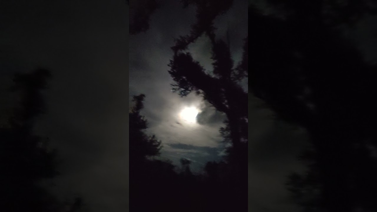 full moon over Grand Ridge Florida