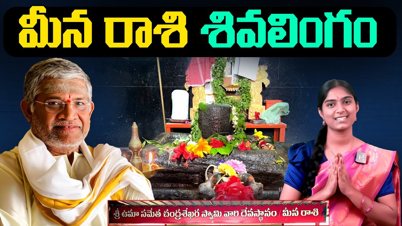 దర్శిస్తే జీవితంలో మీకు తిరుగే ఉండదు | Zodiac Sign Shiva Lingam | Tanikella Bharani | Sri Sthuthi Tv