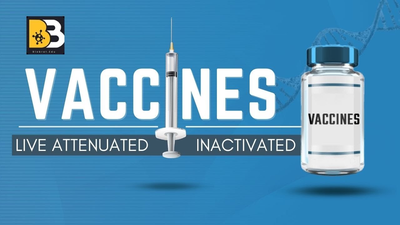 vaccines ( live attenuated and inactivated )