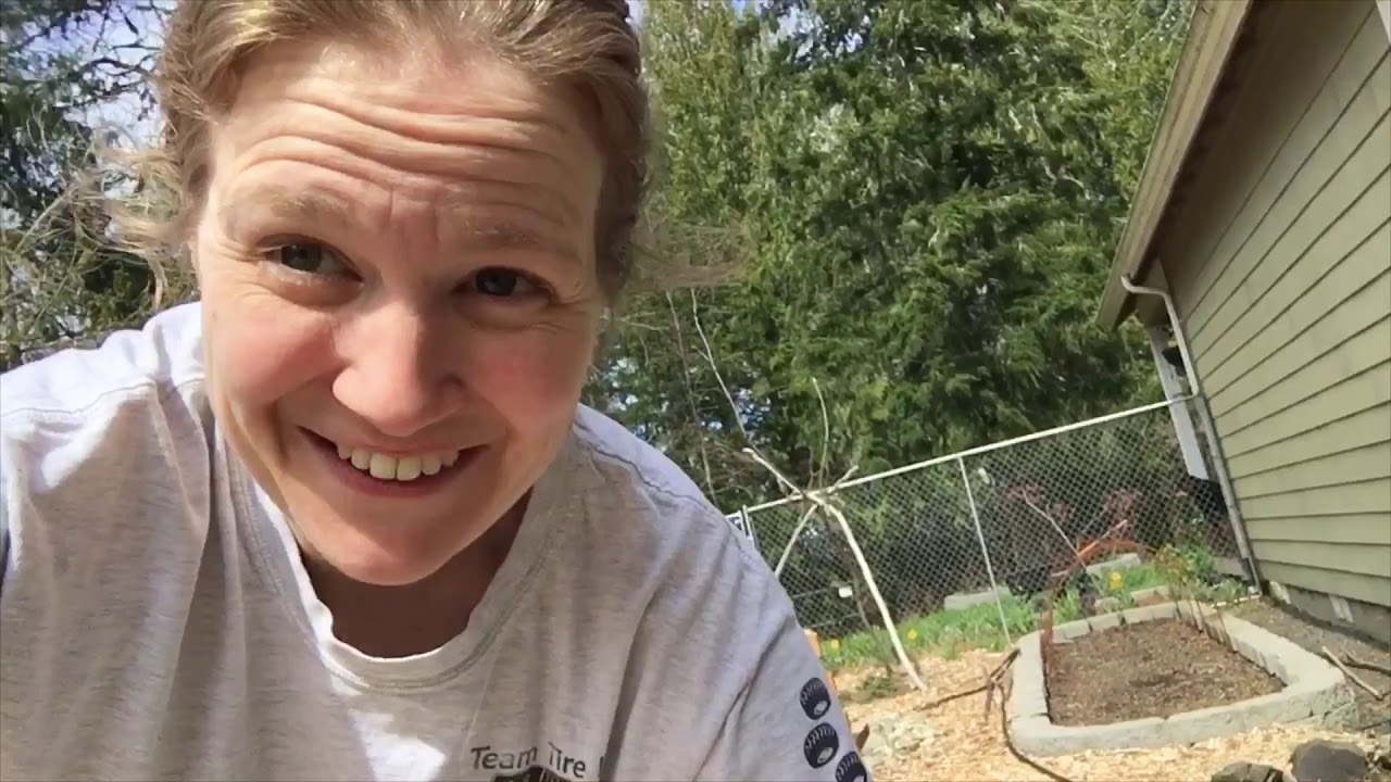 Planting Sweet Onions Starts in the PNW Zone 8b