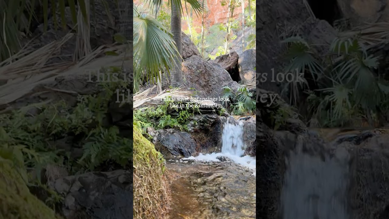 Discover Zebedee Springs: The Kimberley’s secret oasis