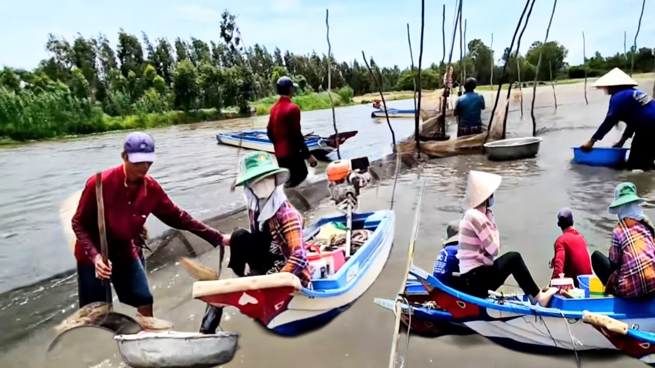 Mùa Nước Nổi Kênh Tha La – Bà Con Đặt Dớn Bắt Cá Đồng Nhộn Nhịp
