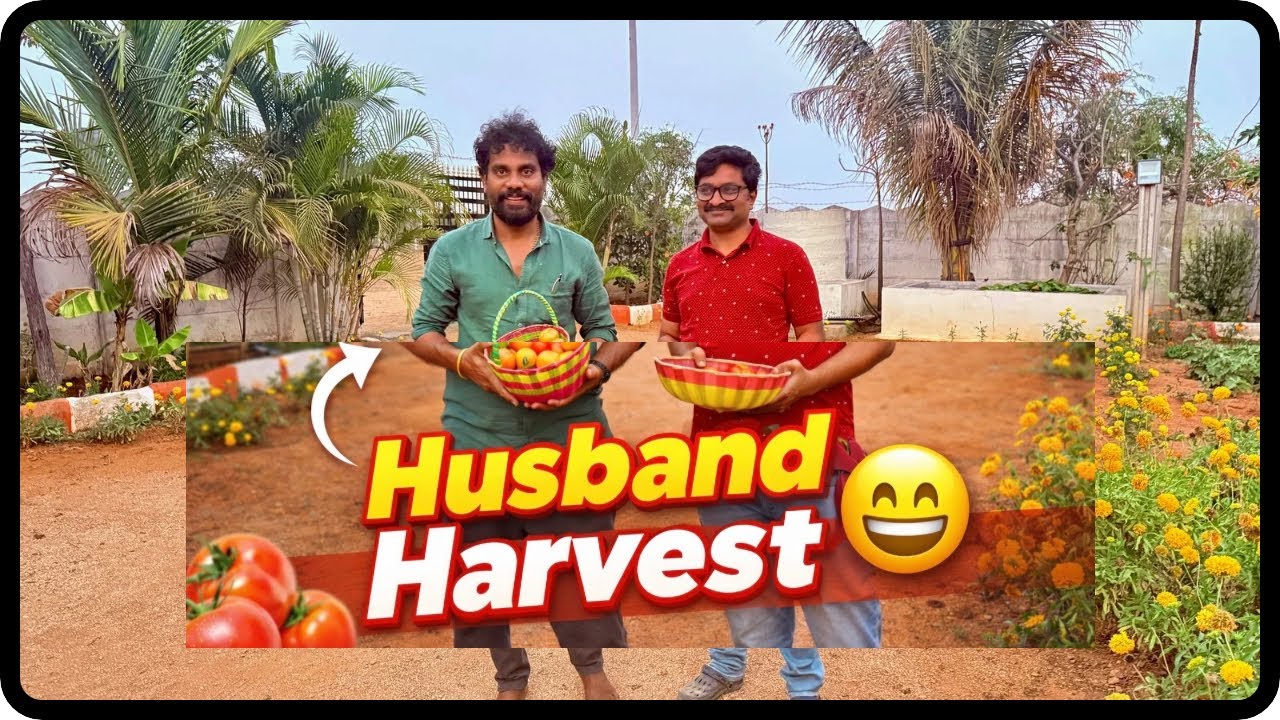 Fresh Farm Harvest | Natural Living at Our Farmhouse 🌱 Life at Farmhouse | Telugu vlog |