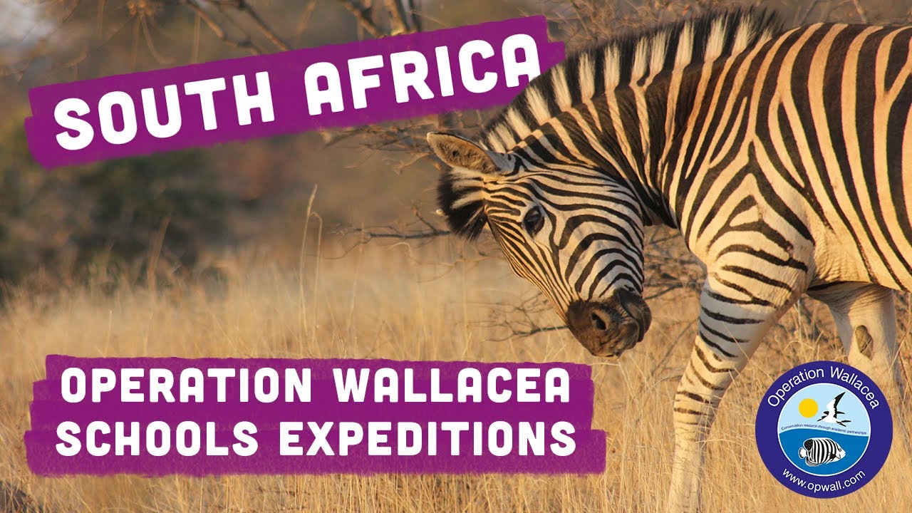 Operation Wallacea - South Africa Schools Expeditions