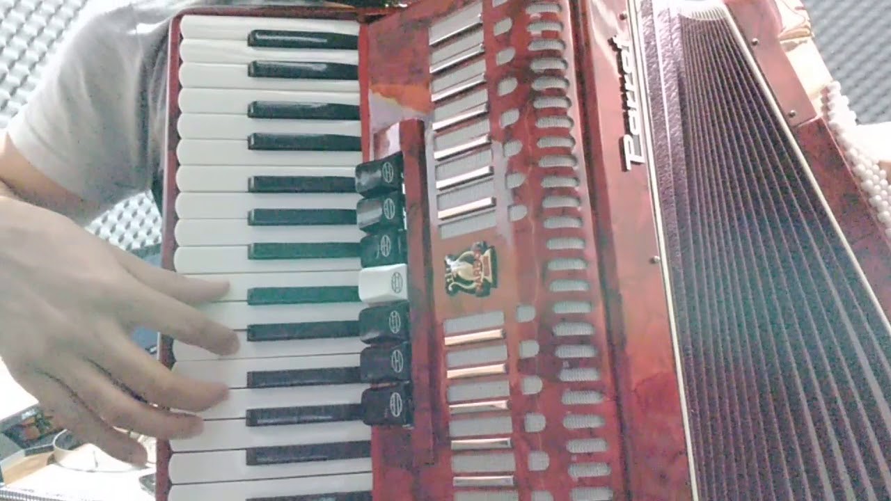 Teste VENDO ACORDEÃO Parrot 80 baixos Seminova