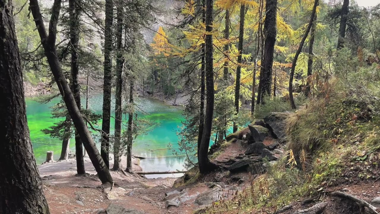Le lac vert   18 oct  2024