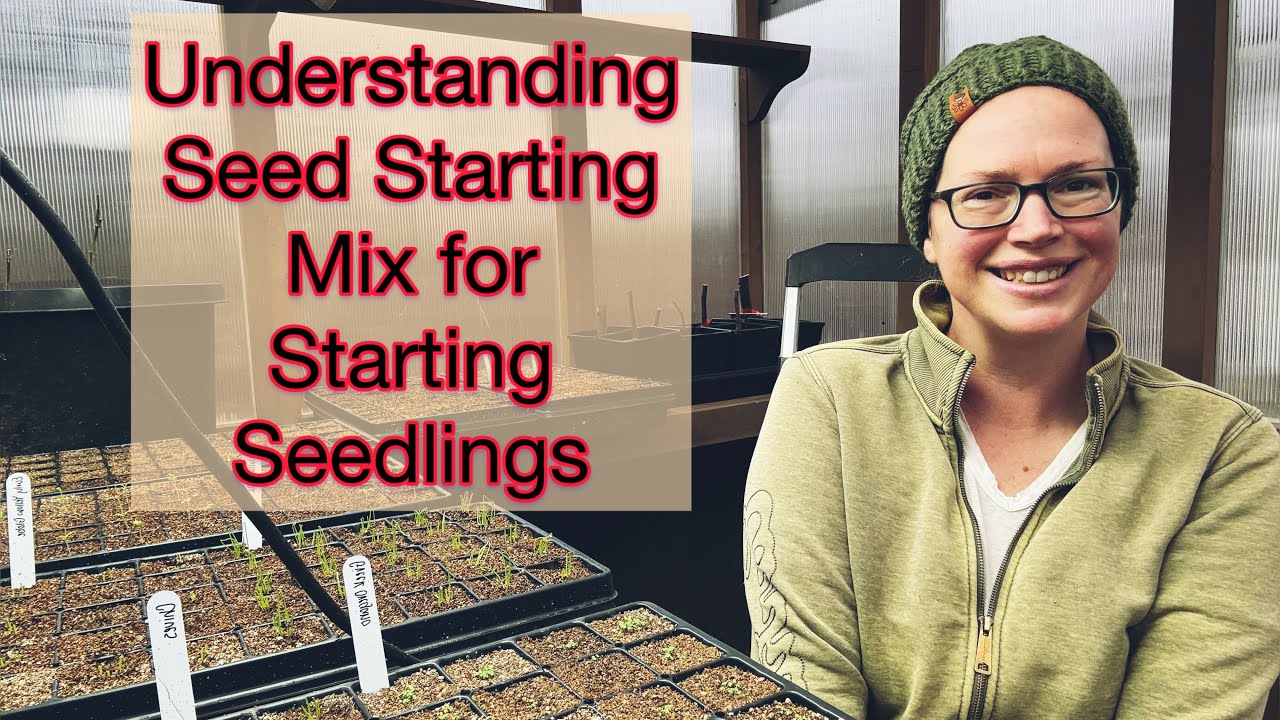 Почему почвенная смесь для проращивания семян важнее, чем обычная почва для горшечных растений и ...