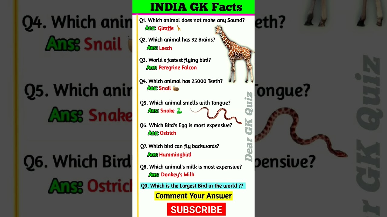 Animal has 25000 teeth 😱 | Facts about Animals and Birds | General Knowledge 