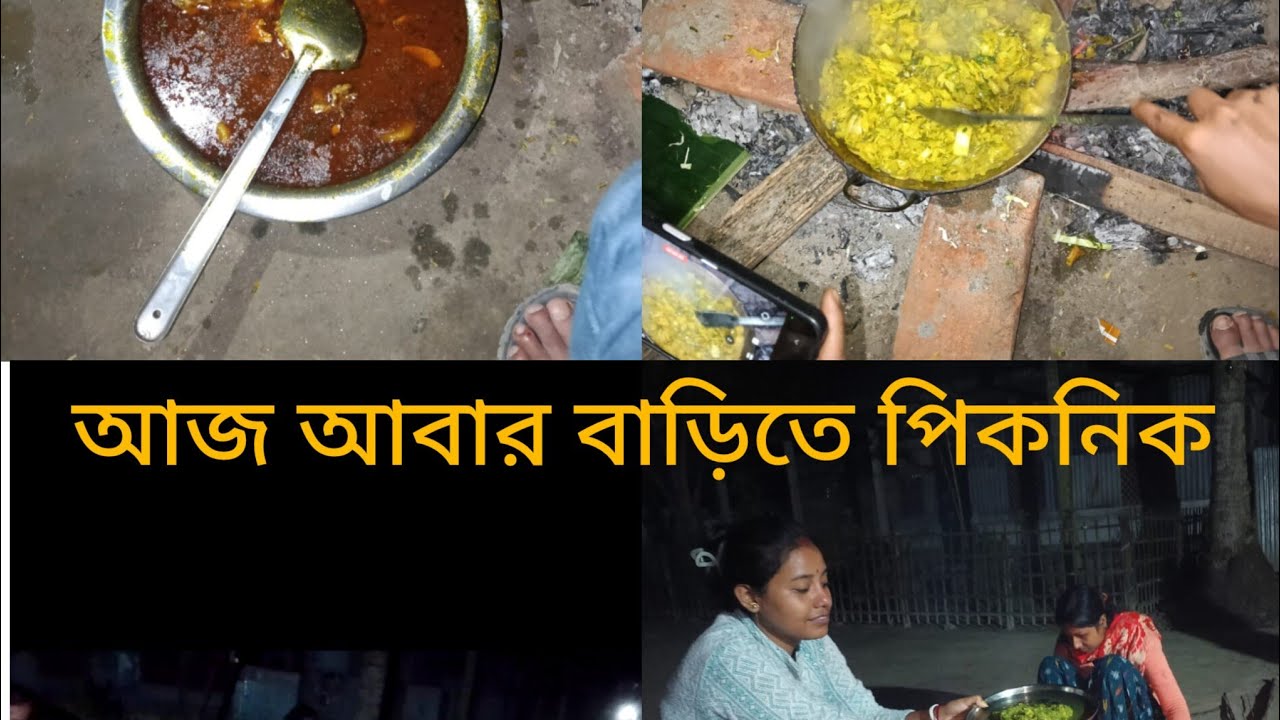 হঠাৎ করে বাড়িতে পিকনিক