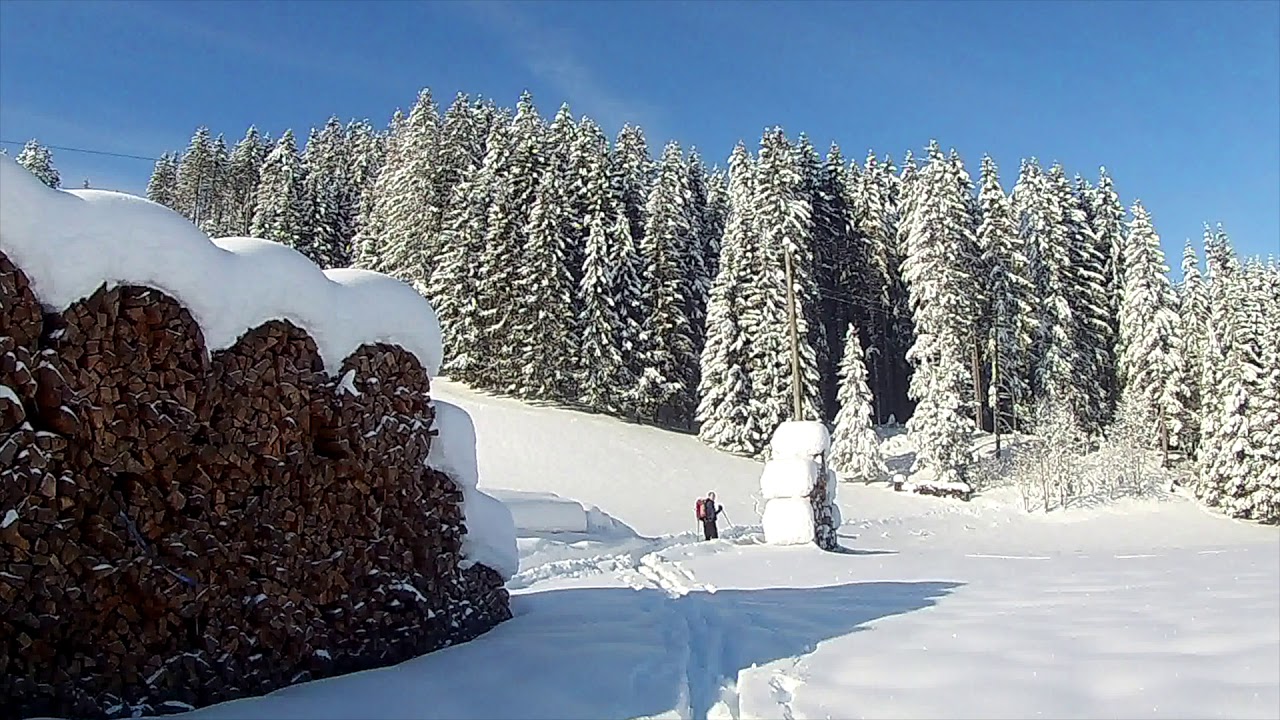 Backcountry Langlauf Hochschwarzwald, Januar 2021