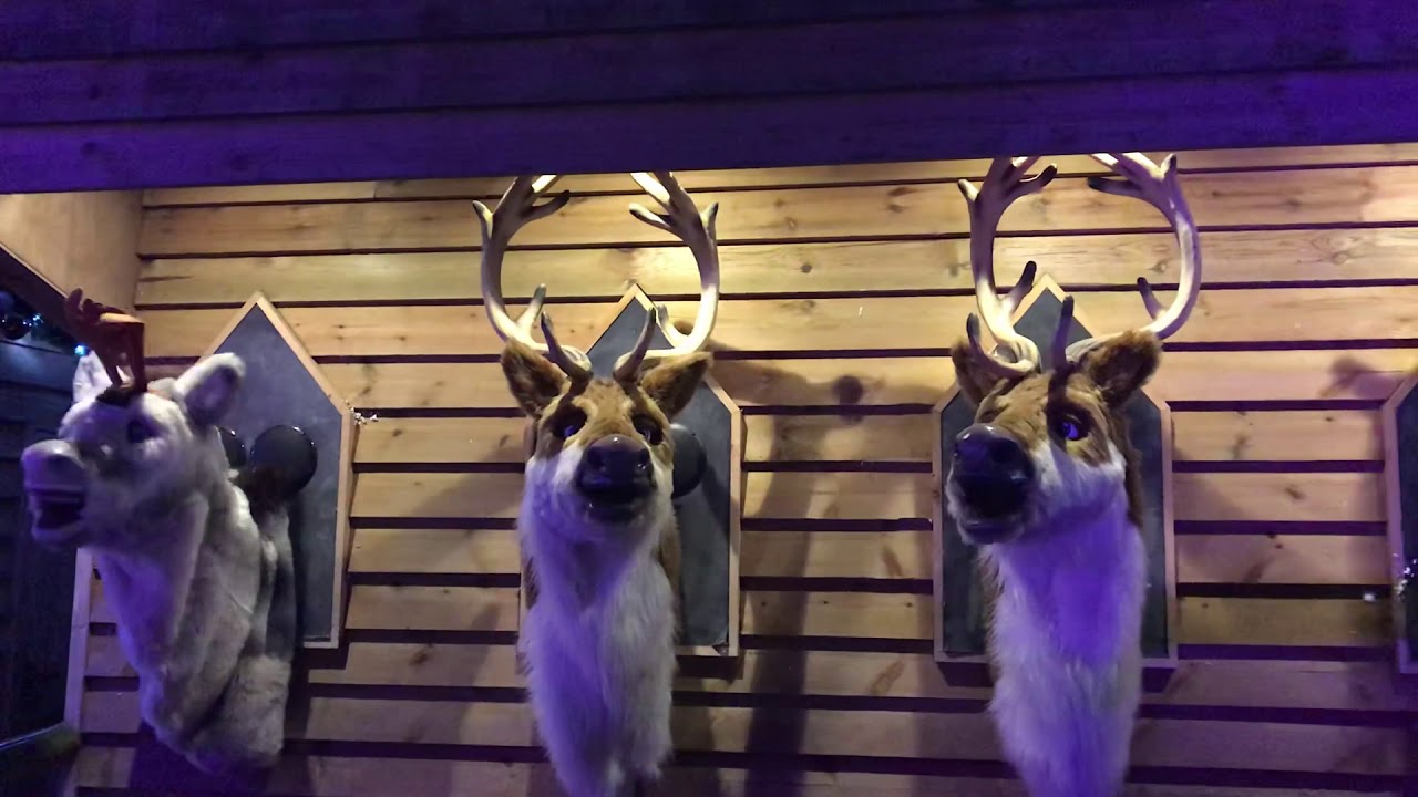 Singing reindeer