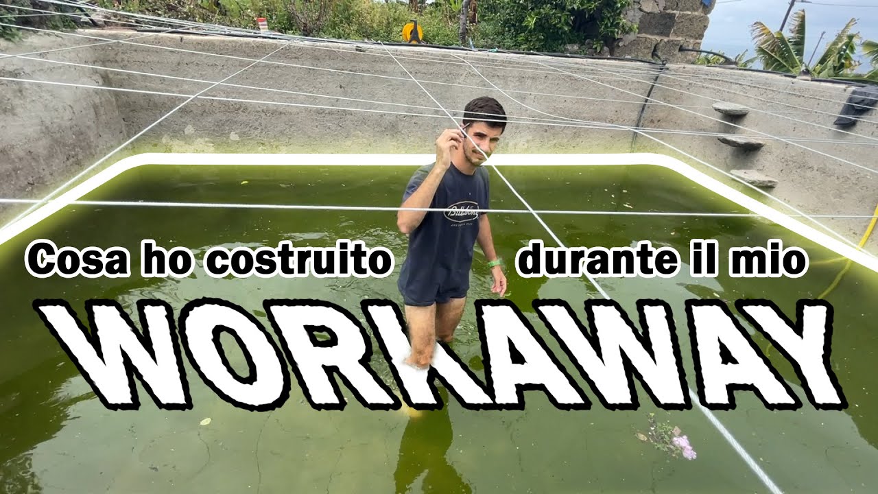 TENERIFE 2021 - Cosa faccio da Ingegnere con Workaway