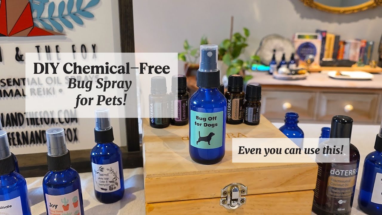 Bug Off Spray | Natural Protection for Your Dog