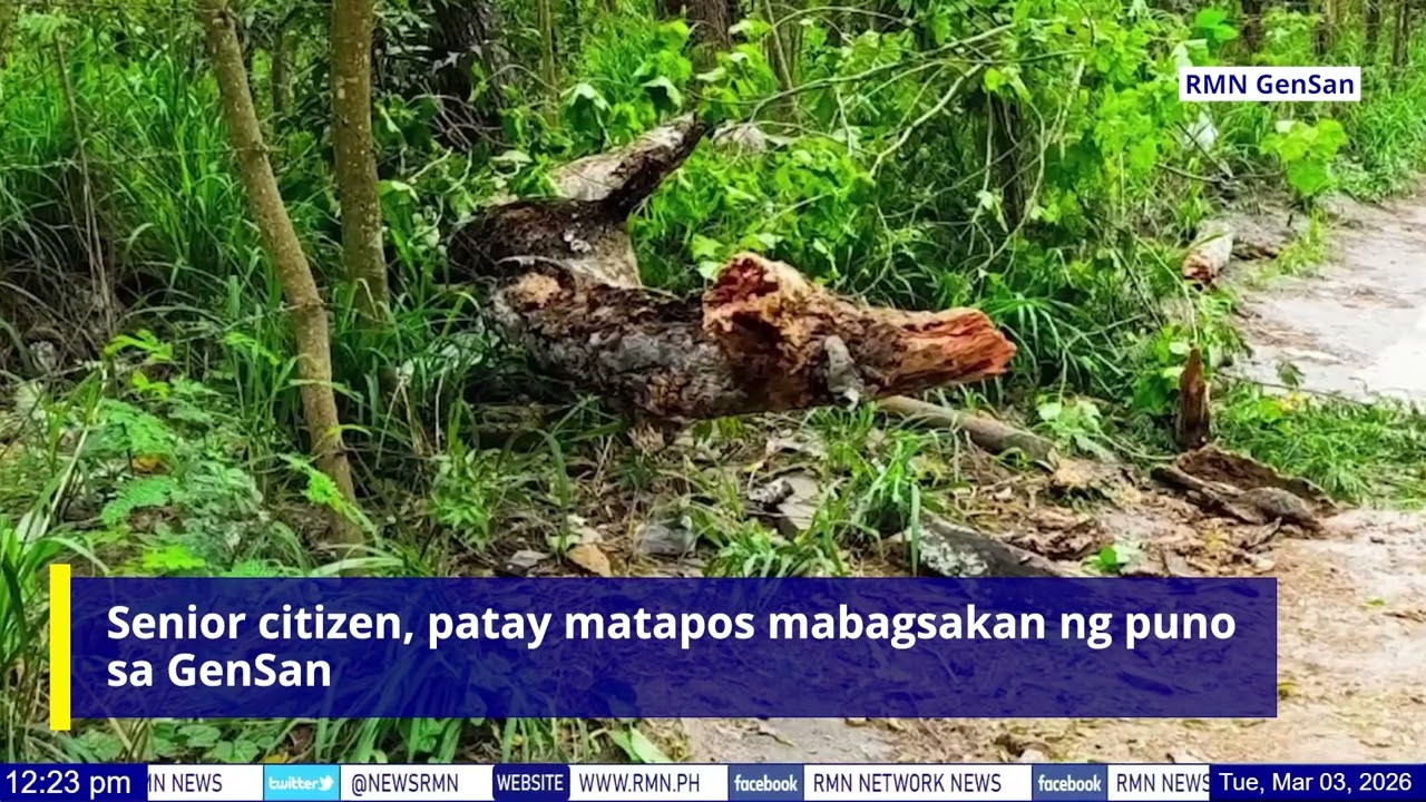Senior citizen, patay matapos mabagsakan ng puno sa GenSan