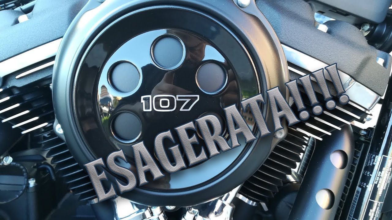 Harley Davidson Street Bob 2019 - POCO TEST, TANTO RIDE(RE)!