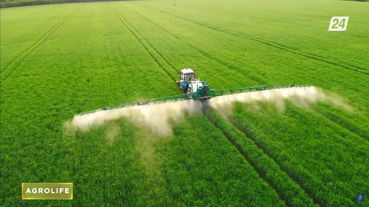 Господдержка АПК: новые правила субсидирования | AgroLife