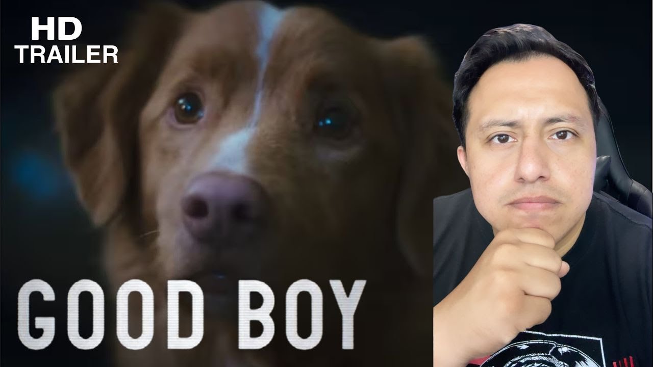 GOOD BOY Trailer Verdadero y ESTRENO