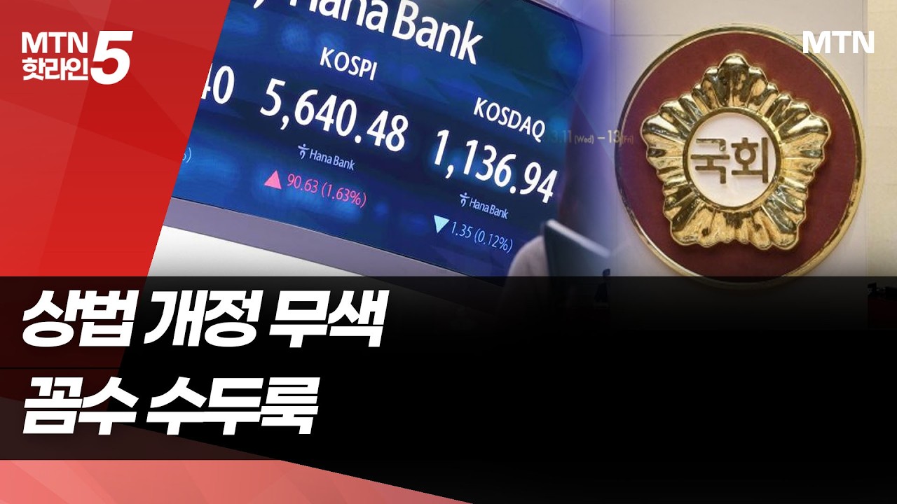 상법 개정 무색…주총 앞둔 상장사 꼼수 수두룩 / 머니투데이방송 (뉴스)