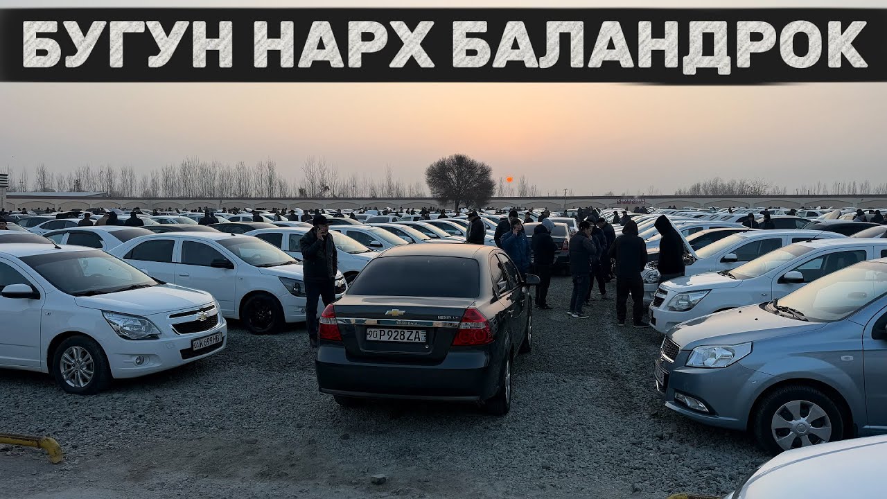 ЭРТАЛАБГИ БОЗОРДАГИ НАРХЛАР🔥 30 - Ноябрь Хоразм Машина Бозори. ОДАМ КУП, ОЛУВЧИ КАМ 