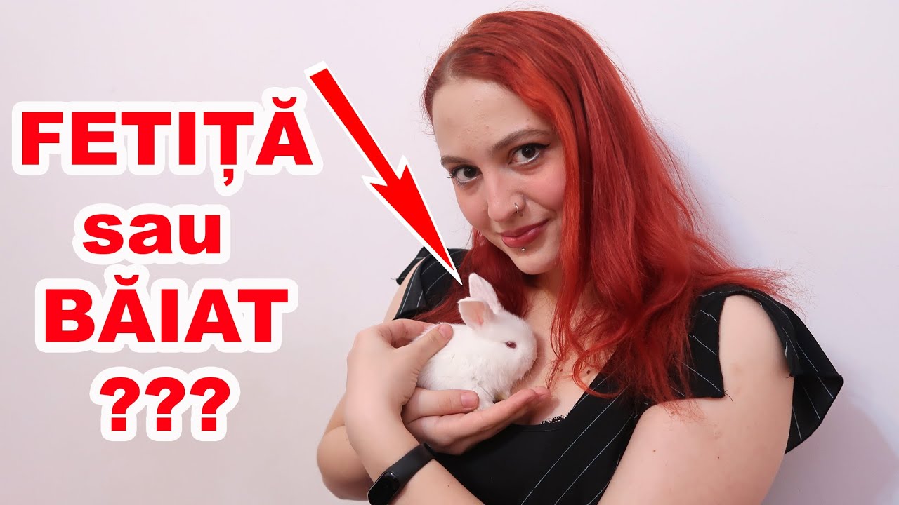 FETIȚĂ sau BĂIAT? Mergem la veterinar cu IEPURAȘUL 🐰