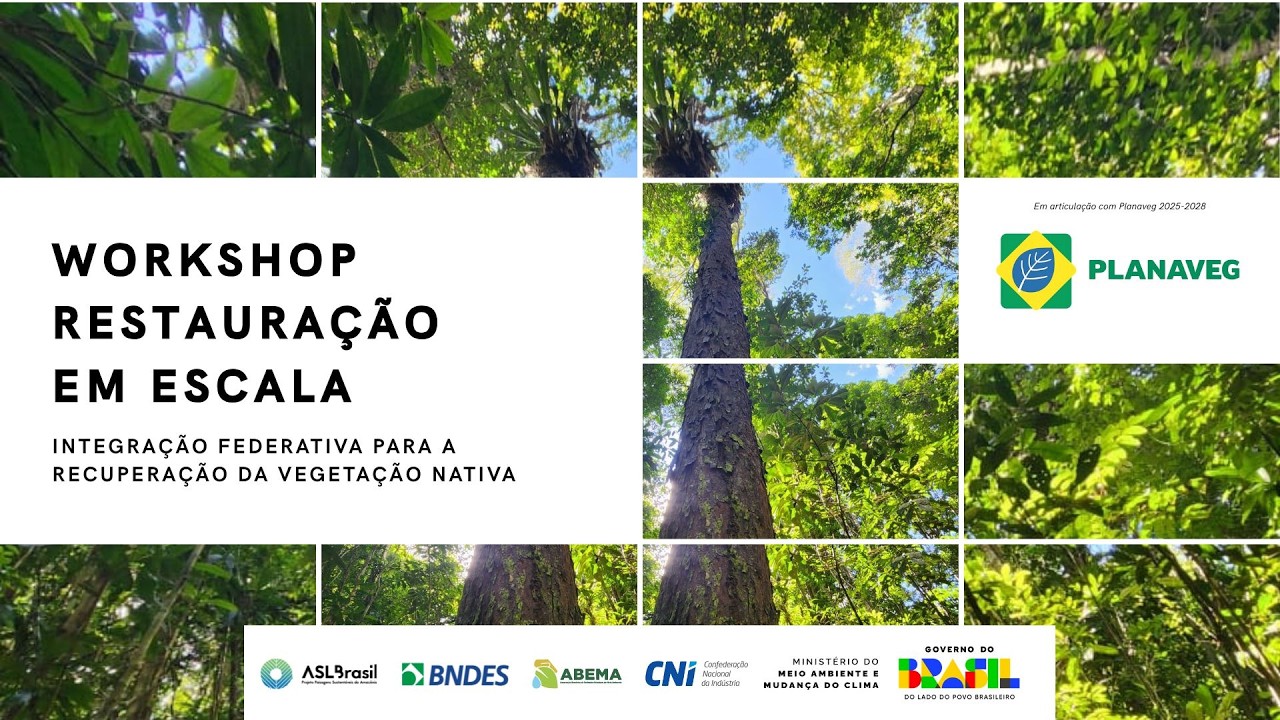 Workshop Restauração em Escala: Integração Federativa para a Recuperação da Vegetação Nativa