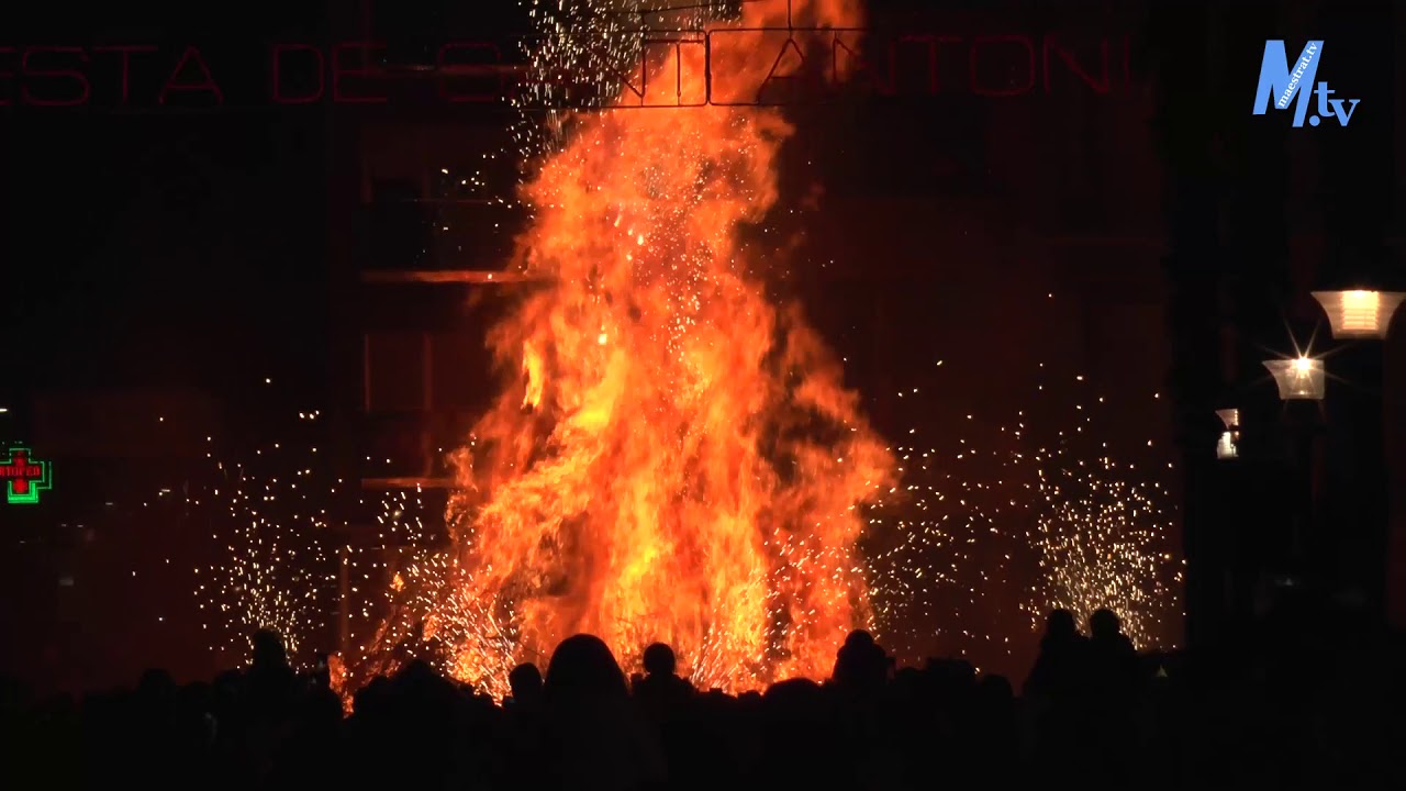 Maestrat Tv - Benicarló - Festa de Sant Antoni 2020