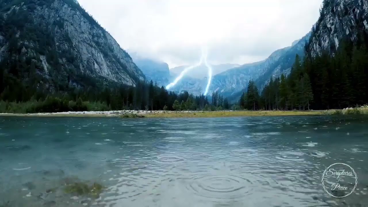 THE BOOK OF LEVITICUS