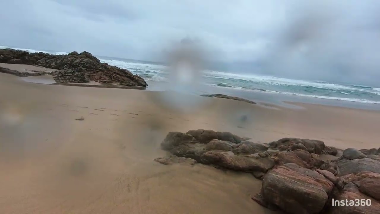 Pug adventure packed walk..the Broom Beach ⛱️ 19 Jan 26 🐶🐕🐚🐟🦀