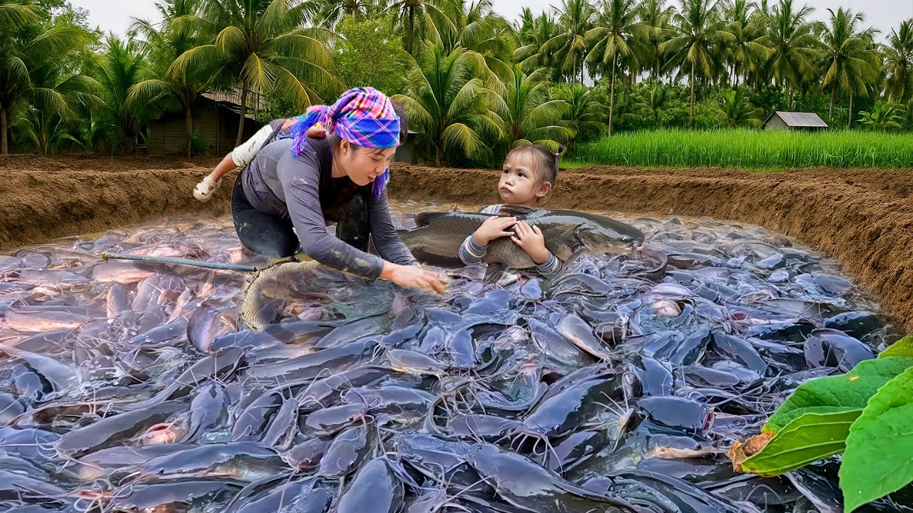 Unbelievable Giant Fish Catch! And a Heartwarming Meal for My Little Daughter
