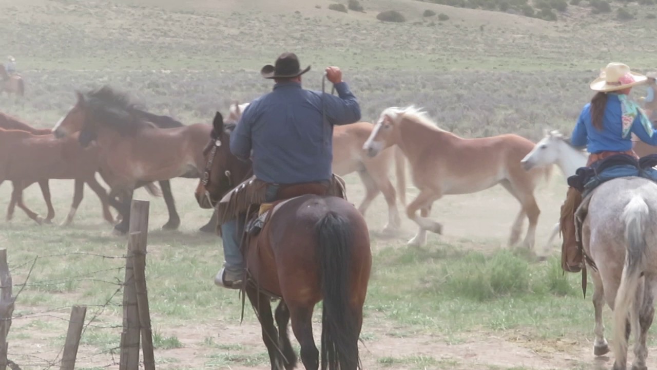 Horse Drive begins May 6 2017