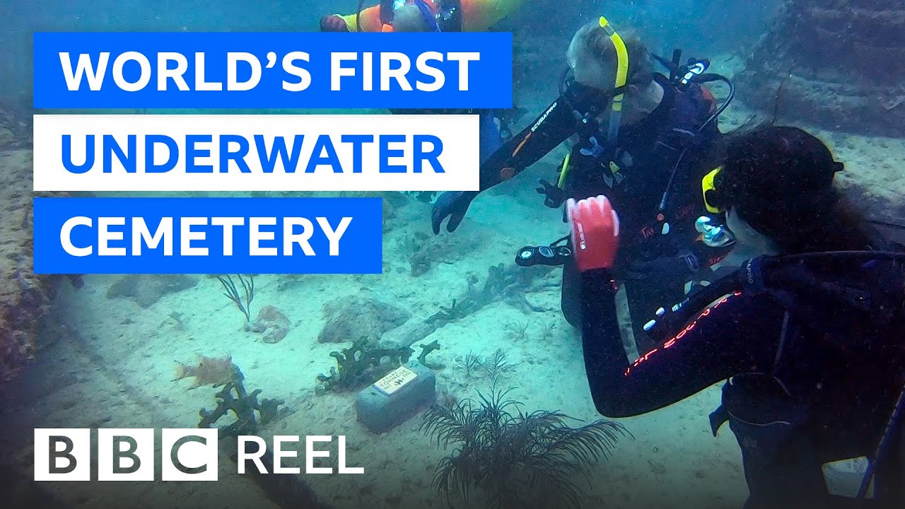 The world's first underwater cemetery - BBC REEL
