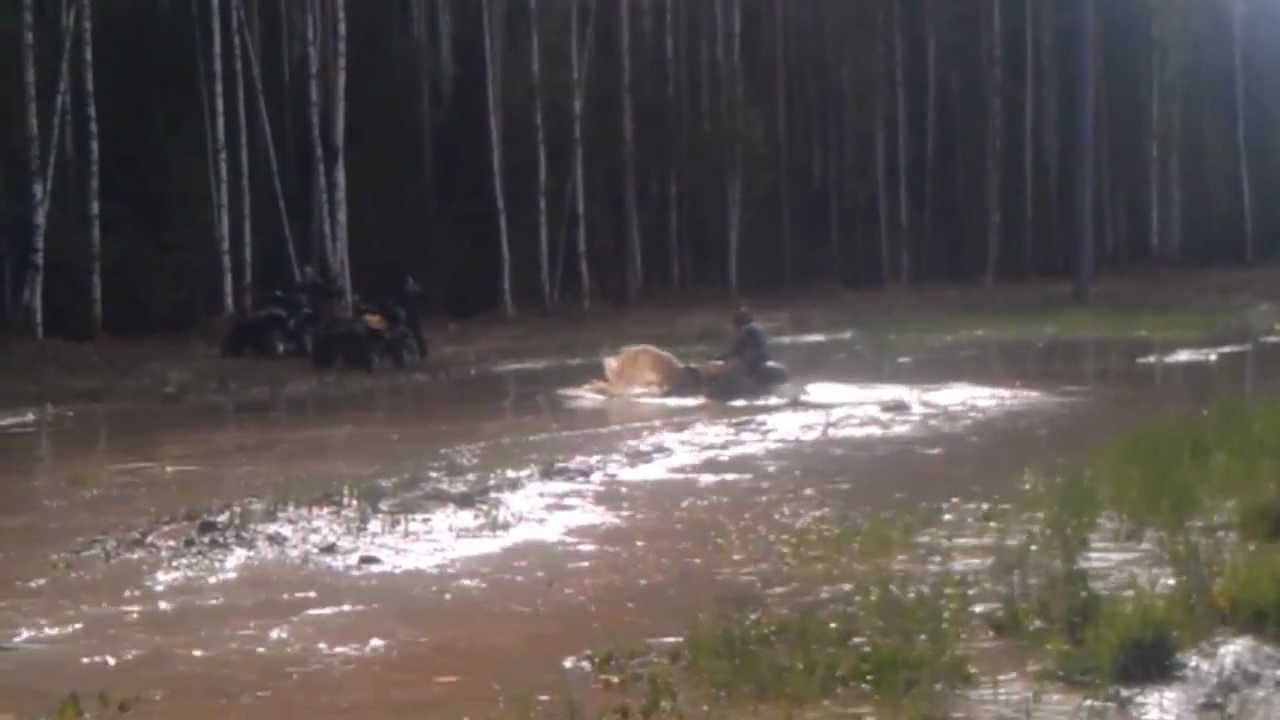 VIDEO0110