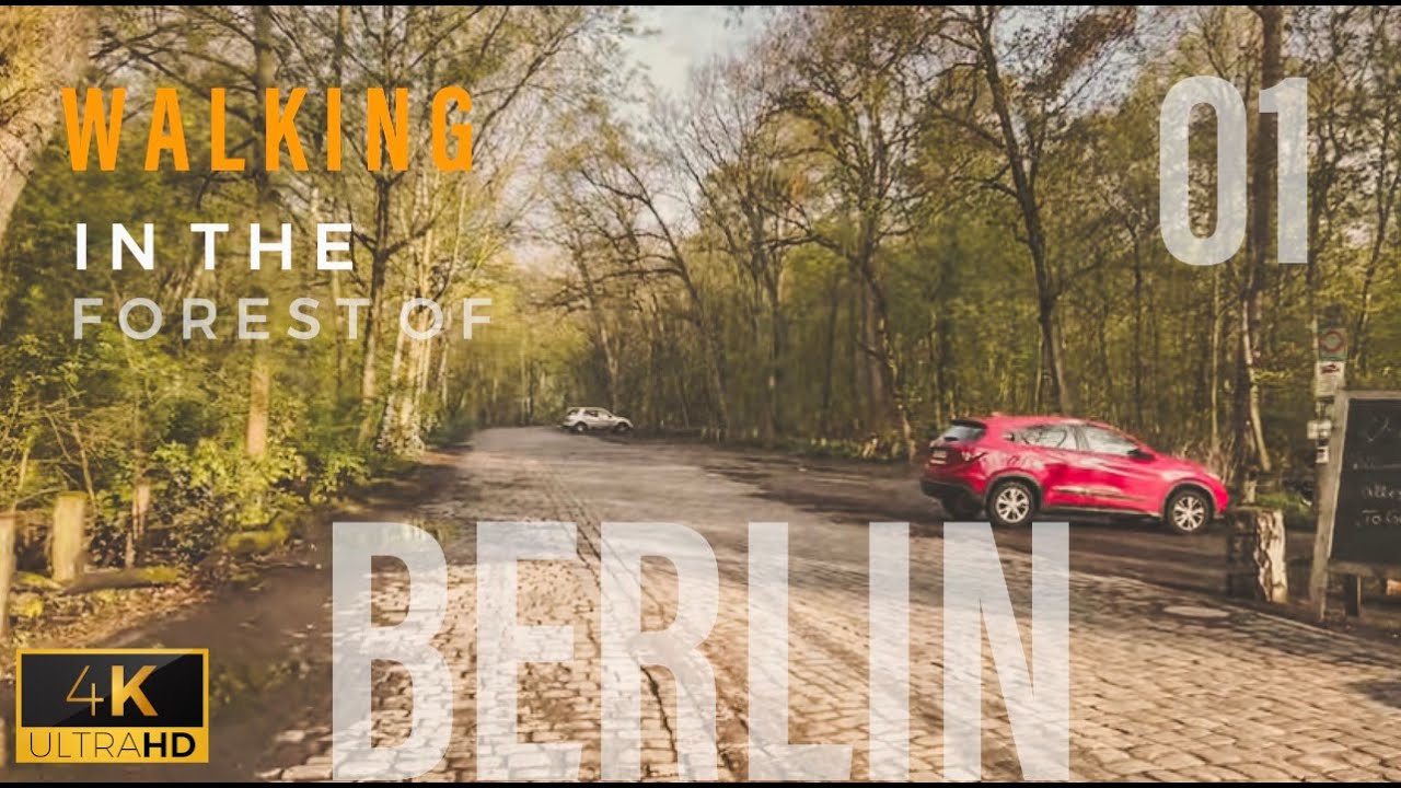 4K Walking in the forest with Bird Singing - Grunewald Berlin